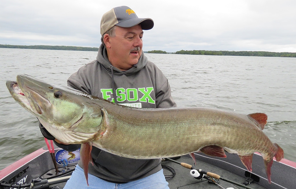 Steve Heiting admires the big musky whose capture is described in the article.