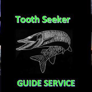 tooth seekers
